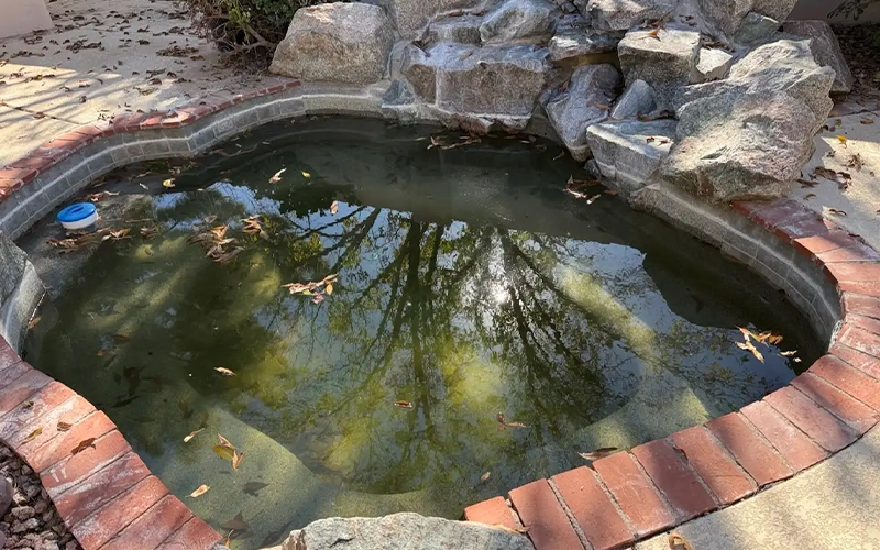 Small backyard spa with green, murky water, floating leaves, brick coping, and a rock waterfall feature in need of cleaning.