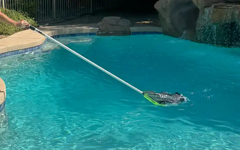 Pool technician performing weekly pool cleaning at a residential swimming pool in Arizona